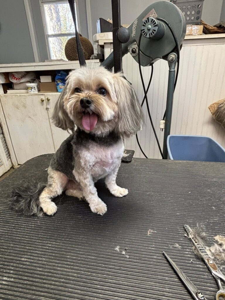 Happy Guy