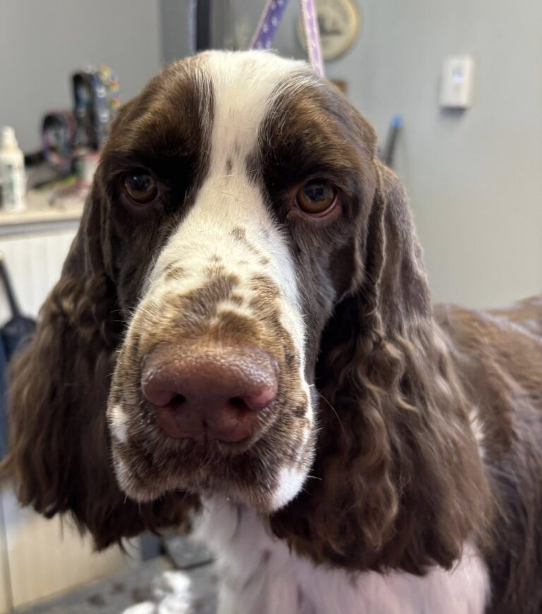 Max